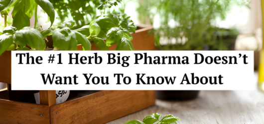 The SECRET Herb Big Pharma Hopes You Never Discover